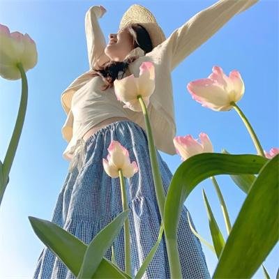 旋转家族